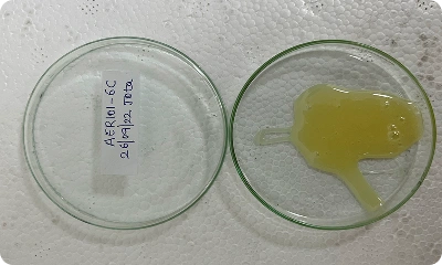 EProxy_Resin